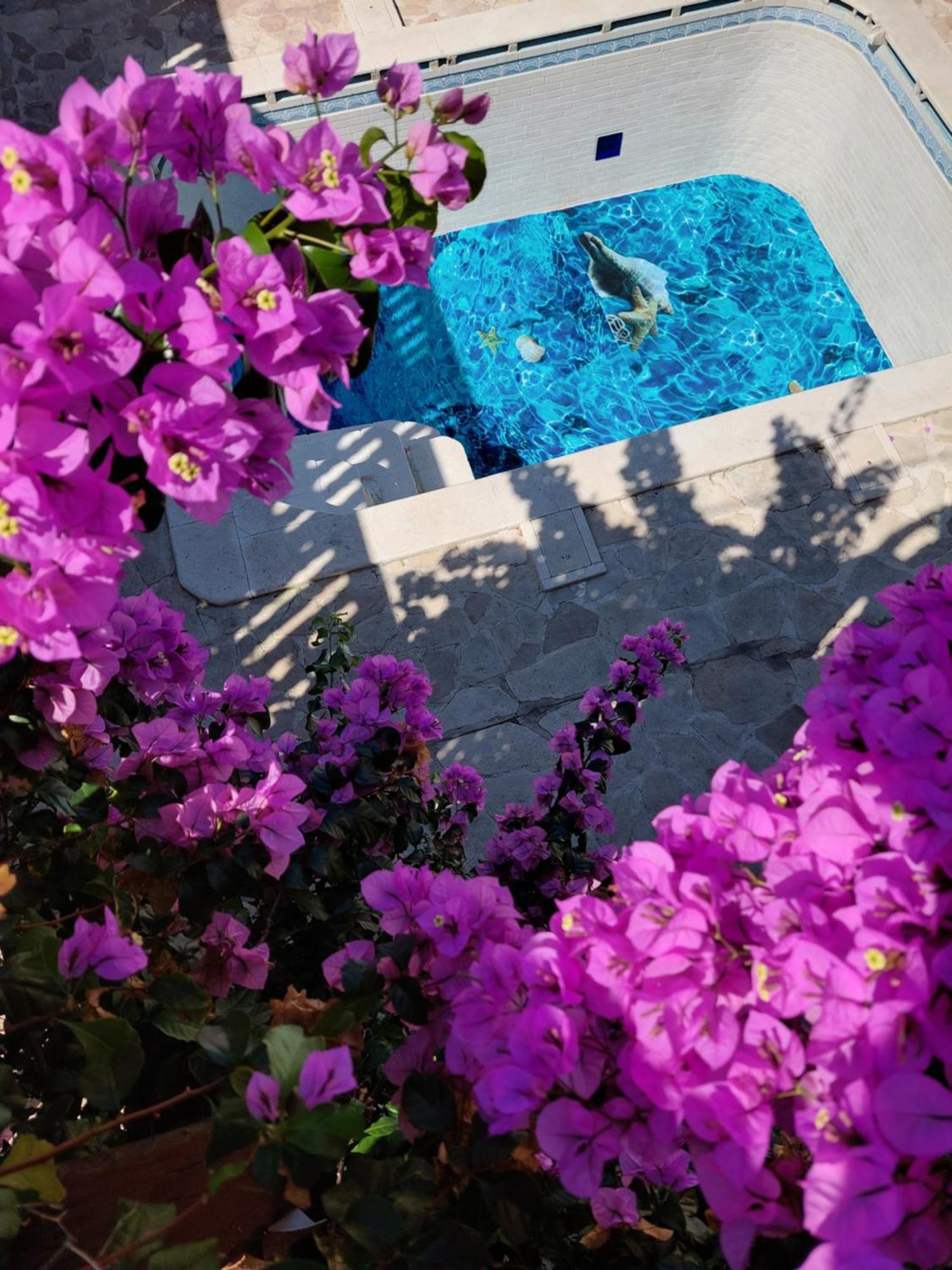 זאדאר Studios Villa Romantica מראה חיצוני תמונה